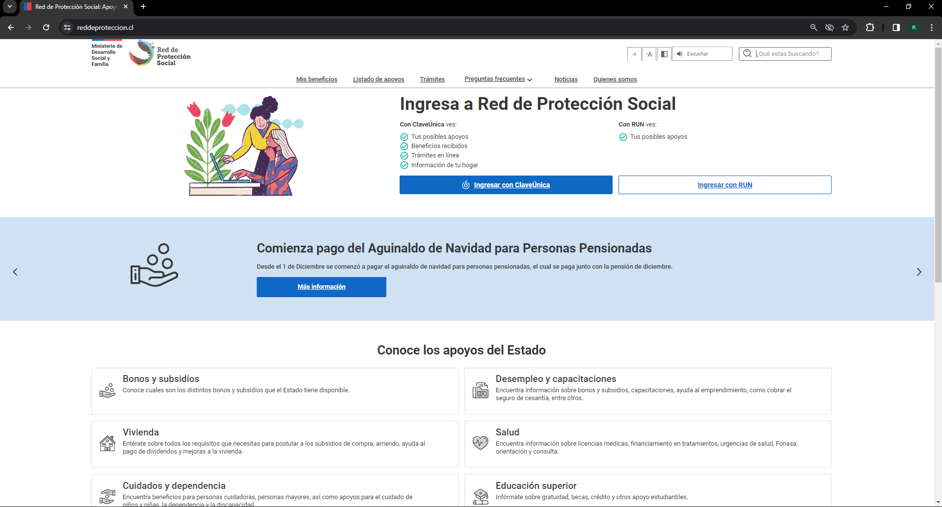 Imagen pagina de inicio reddeproteccion.cl